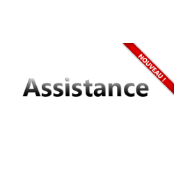 Assistance informatique