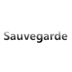 Sauvegarde informatique