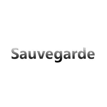 Sauvegarde informatique